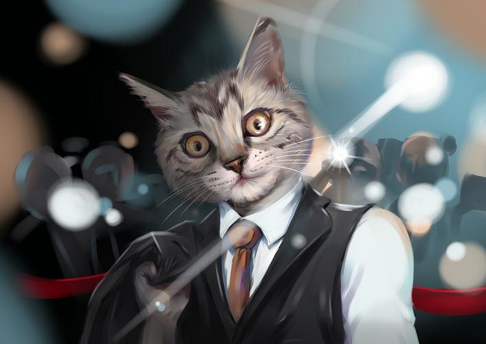 西装猫