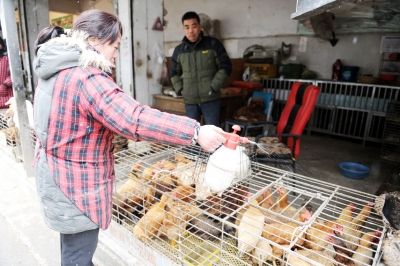 卫生安全的活鸡宰杀市场. 宋永根 孔棋 摄