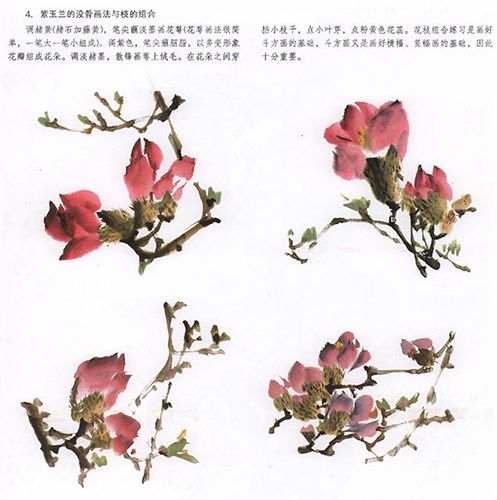中国国画-玉兰花的绘画技法(上)