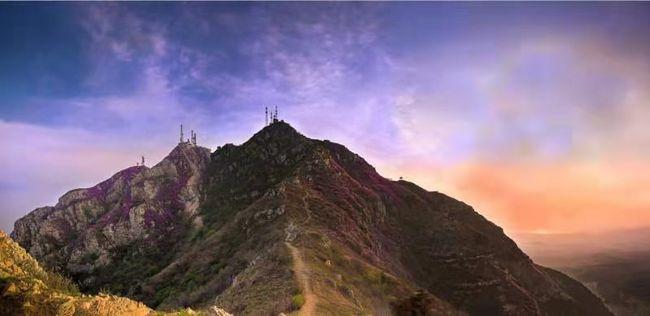 大连大黑山杜鹃花海季活动启幕花唤大黑山美若仙境