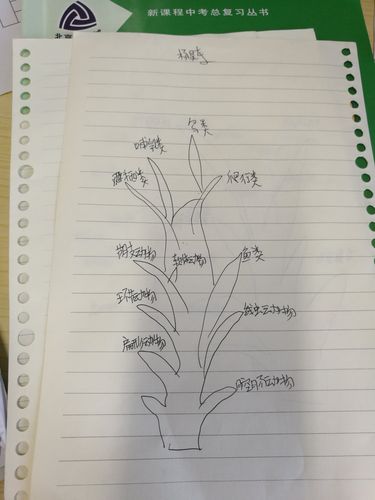 6班进化树作业反馈