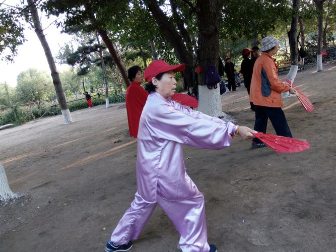 中级华武太极扇教学之花