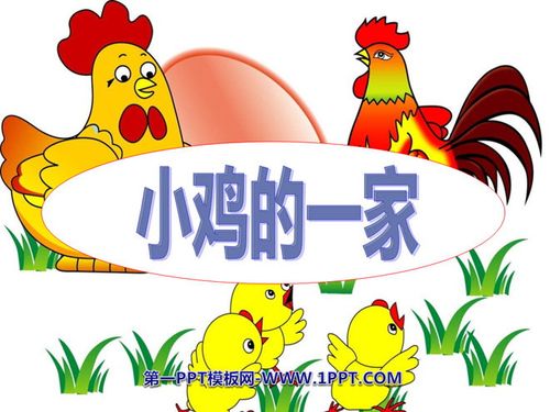 《小鸡的一家》ppt课件2