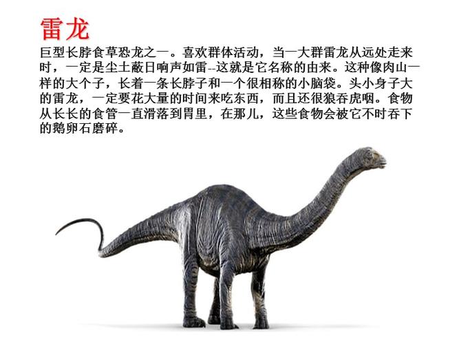 大班科学:食草恐龙和食肉恐龙