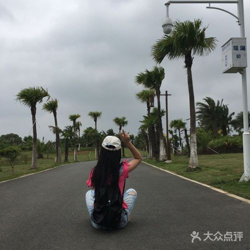 瑶湖郊野森林公园图片 - 第5张