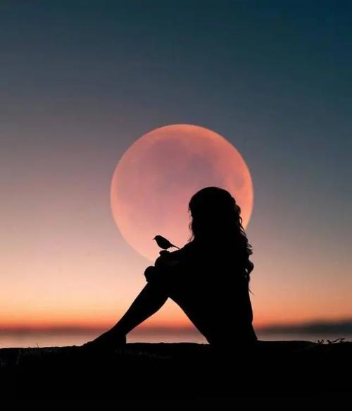 夜晚孤单寂寞的伤感文案