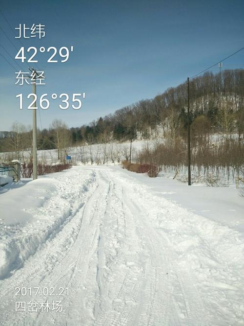 吉林省通化市辉南县抚民镇四岔林场天气预报