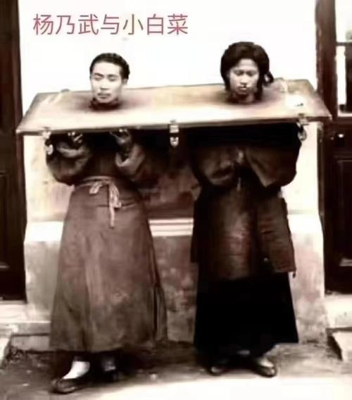 杨乃武与小白菜的冤案