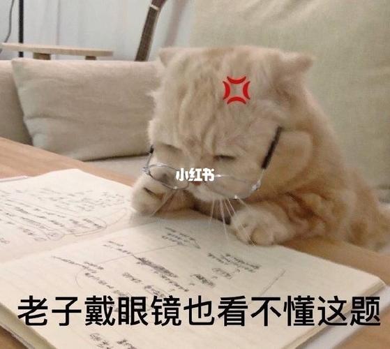 可爱到我的表情包哈哈哈_表情包_表情包分享_素材