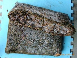 长期大量供应冰冻蚯蚓,鲜活蚯蚓,纯野生蚯蚓