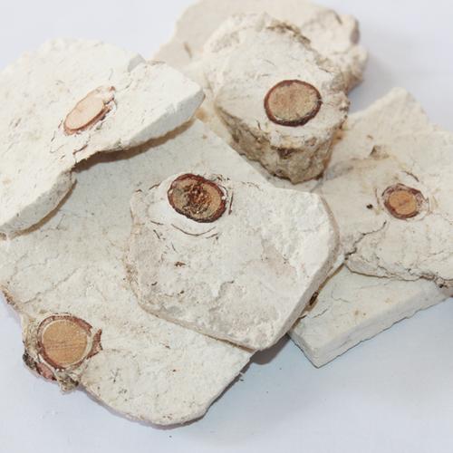 茯苓与茯神的区别最大的区别在于它们的作用