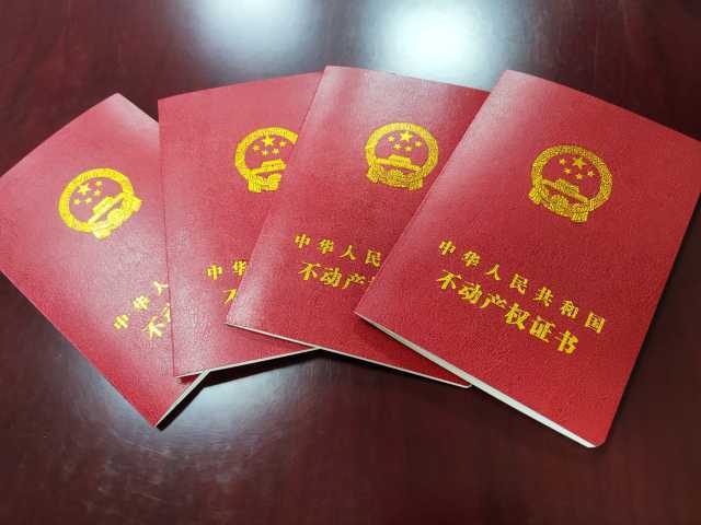 牢记初心使命 争取更大光荣|石嘴山市发放首批林权不动产权证