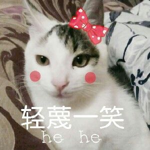 腊肉轻蔑一笑的说