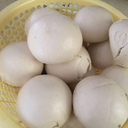 5kg 馒头 自发粉 包子 小麦 面粉 通用 自发面粉商品评价 > 做包子馍