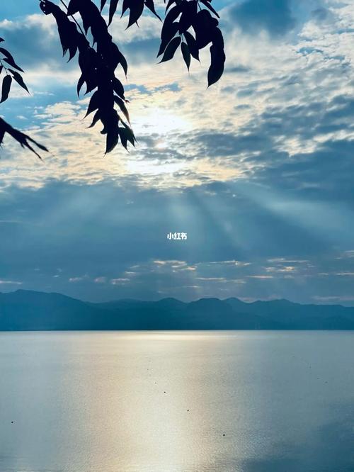 和光同尘,与时舒卷,心之所向,素履以往.