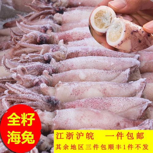 新鲜鲜活满籽笔管鱼带籽全籽海兔子海鲜籽乌墨鱼乌贼促销一件包邮