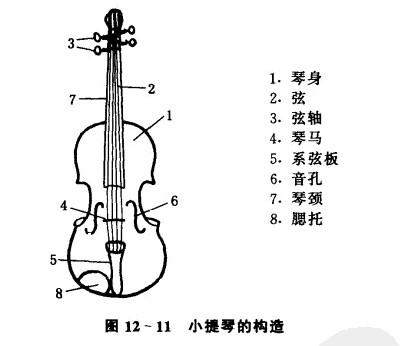 小提琴,中提琴,大提琴及低音提琴均属拉弦乐器,均由弓摩擦琴弦使