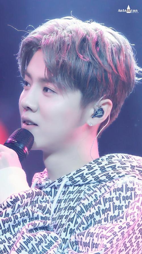 鹿晗大张伟演唱会