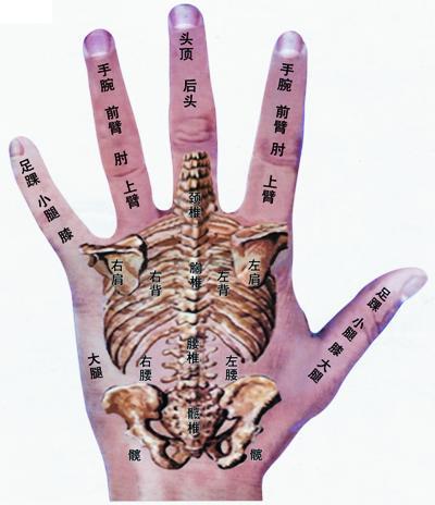 看手相(男左女右)