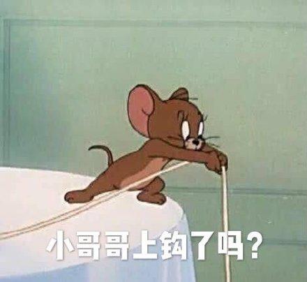 小哥哥上钩了吗?(猫和老鼠杰瑞鼠)_猫和老鼠_杰瑞_上钩_哥哥表情