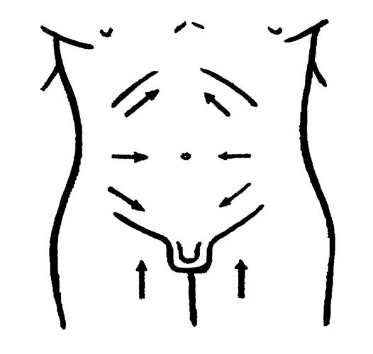 第四节,神经反射检查