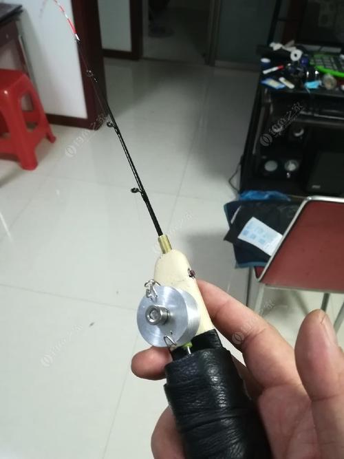 自制电动公鱼竿成功