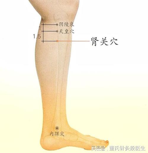 董氏针灸益肾健脾的穴位肾关穴分享给大家