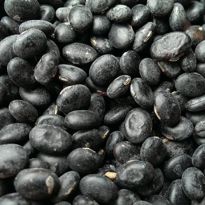 *农家有机自晒黑豆 台山乌豆\黑豆 冲蒌乌豆 特色乌豆