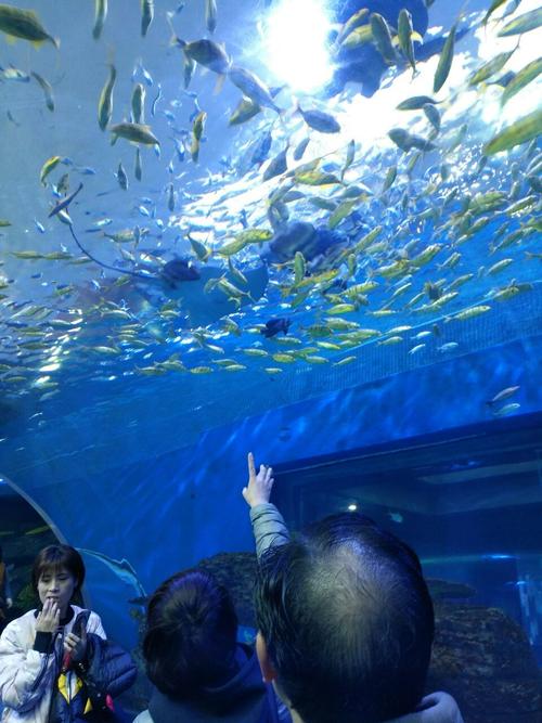 自驾游问答 湖南 益阳 甜甜湾乐园海洋城海洋城海洋馆大年初三营业吗?