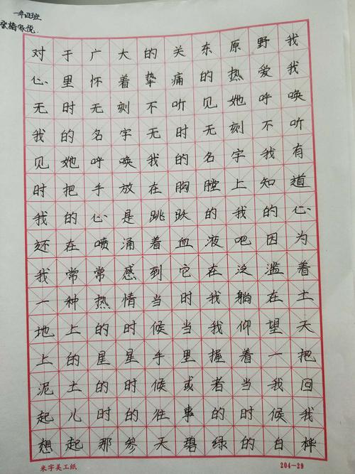 初一学年钢楷竞赛——初一(4)班学生钢楷