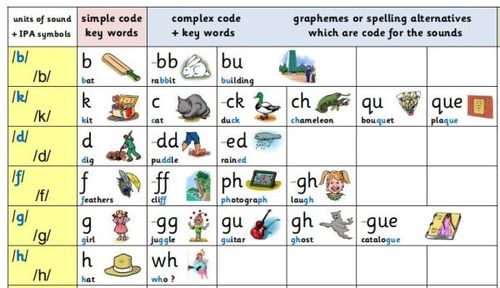 自然拼读法(phonics)如何学习?