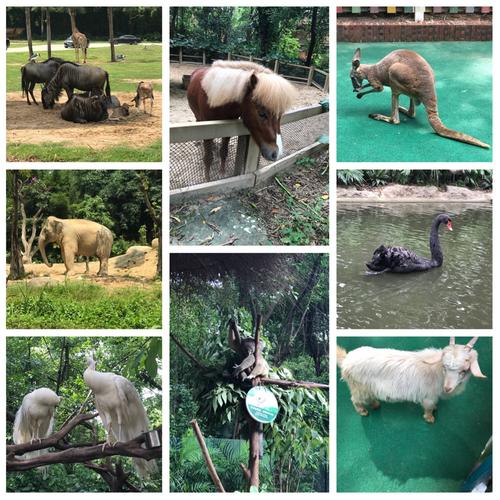 长隆野生动物园,珠海海洋王国