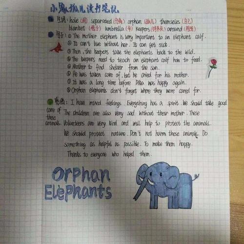 双语读书节——英语读书笔记分享 七年级17班18班