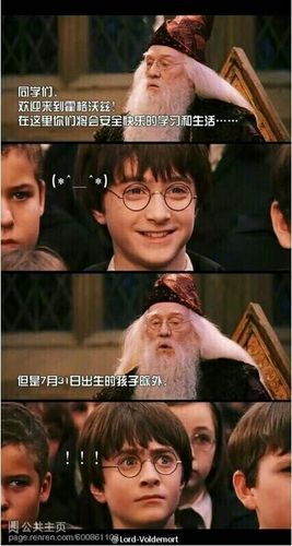 哈利波特表情包