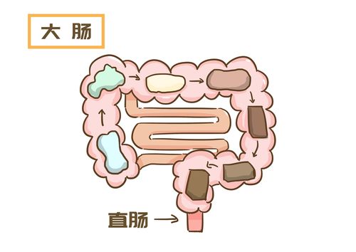 29世界肠道健康日】粑粑"塞车"警告!今天你的肠道