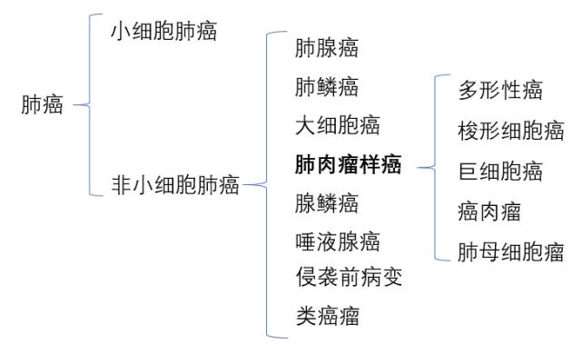 爱不罕见非小细胞肺癌之癌王肺肉瘤癌何时有春天