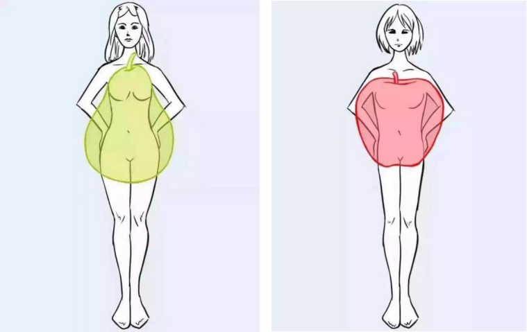 梨型身材不易患糖尿病和痴呆,苹果型身材有被冒犯到