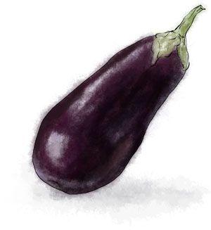 eggplant and aubergine by torstan on deviantart
