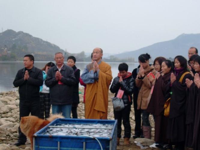 泰山普照寺11月8日放生活动