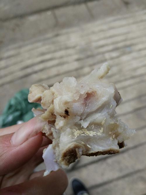 是不是寄生虫