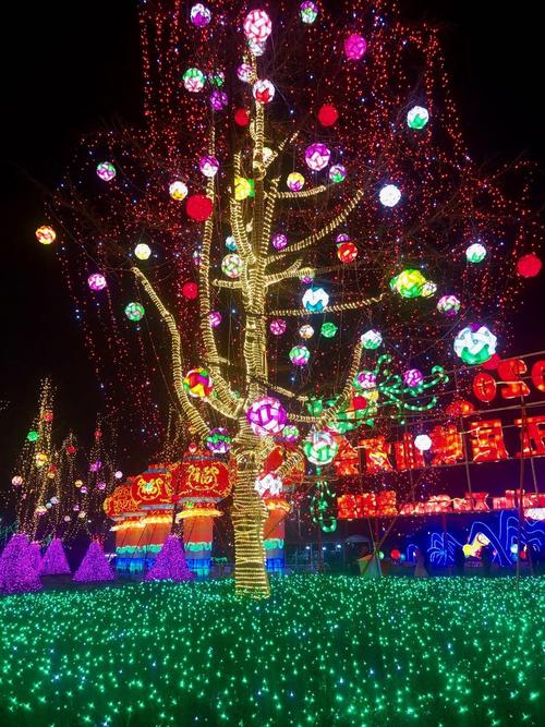 2020峡山灯会开幕,灯火璀璨让人大饱眼福_景点_潍坊网