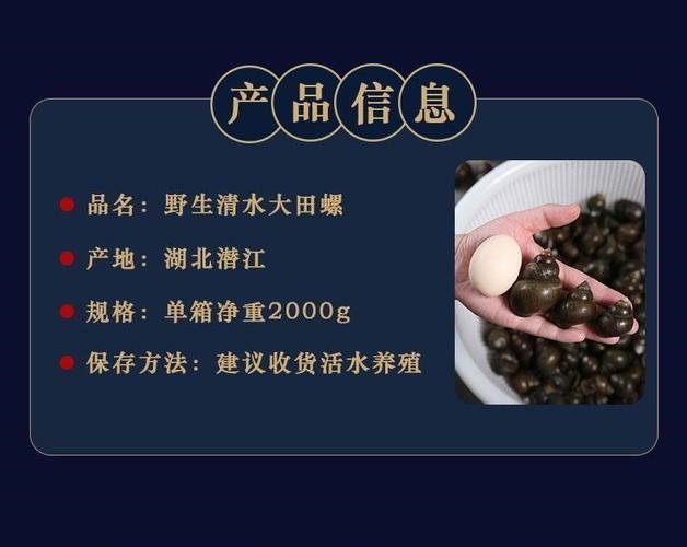 新鲜大田螺无沙活体包活螺蛳鲜活泥螺超大特大淡水螺丝肉活的4斤半斤