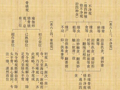 03.18-《俱舍论大要》贤圣品 明五停心观:释不净