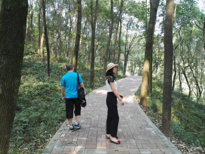 小溪塔宜昌森林公园游记