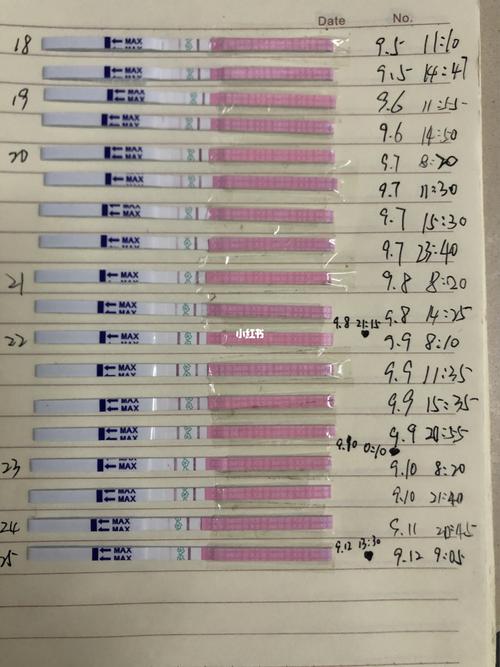 排卵试纸_排卵试纸_备孕_母婴_孕产经验