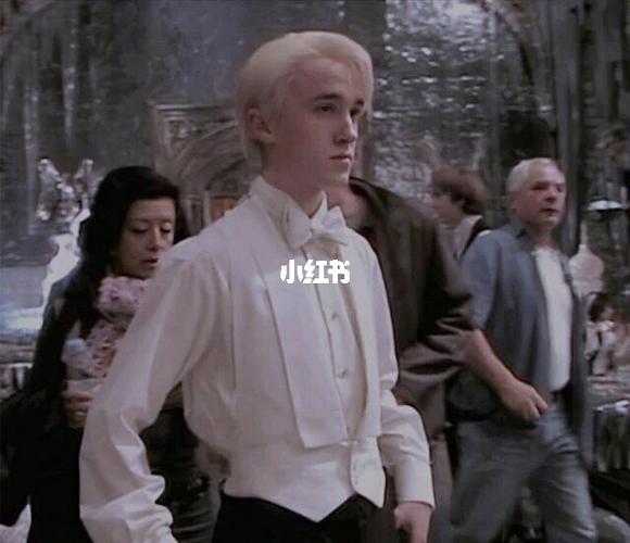 德哈文  4_德哈文_文化_阅读