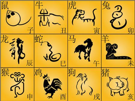 十二生肖真实动物图片?