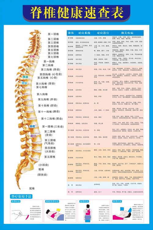 《脊椎健康速查表》人体脊柱疾病示意图中医养生医学健康挂图海报
