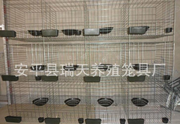 乳鸽成活率   扩展性:可根据场地大小作适当调整,可加装自动饮水系统