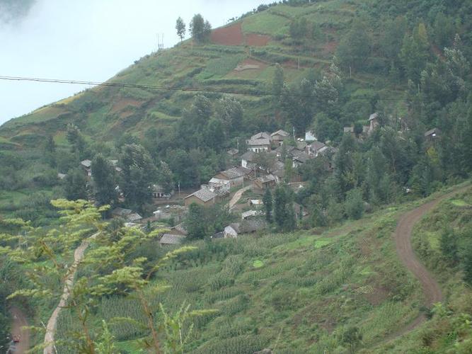  p>新棚村地处云南省鲁甸县水磨镇,是一个高寒贫困村,属于山区.